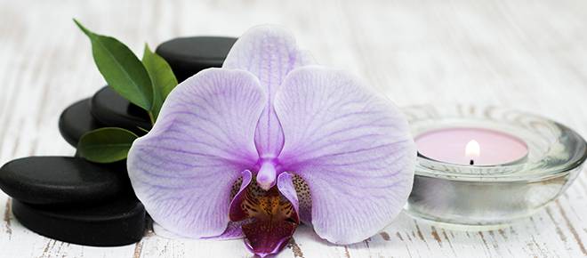 Spa deals burton on trent