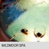 WOWCHER - ELEMIS Spa Day with 3 treatments and £5 voucher each WILDMOOR (1108818)